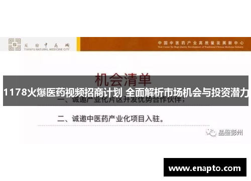 1178火爆医药视频招商计划 全面解析市场机会与投资潜力